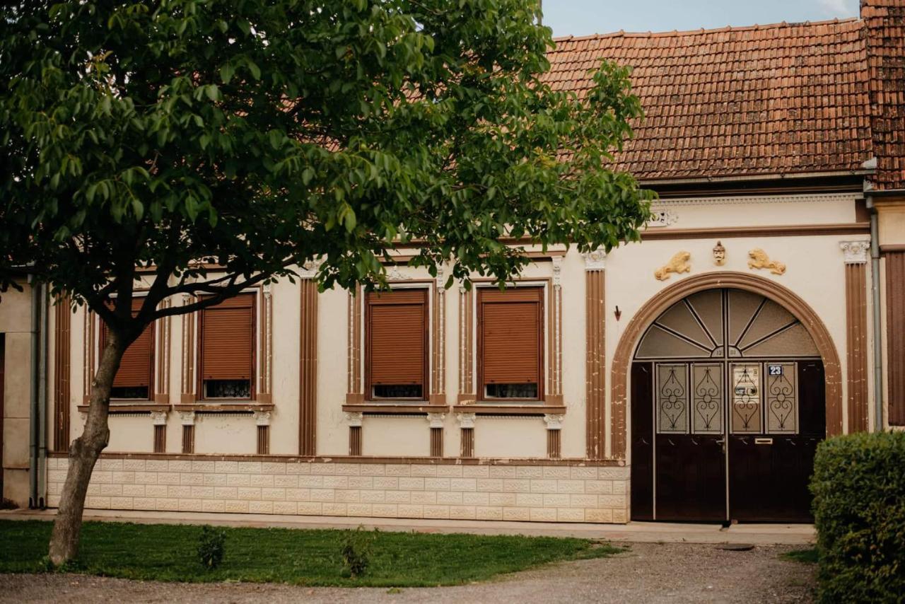 Villa Kuca Za Odmor "Sokacka Lady" Zupanja Exterior foto