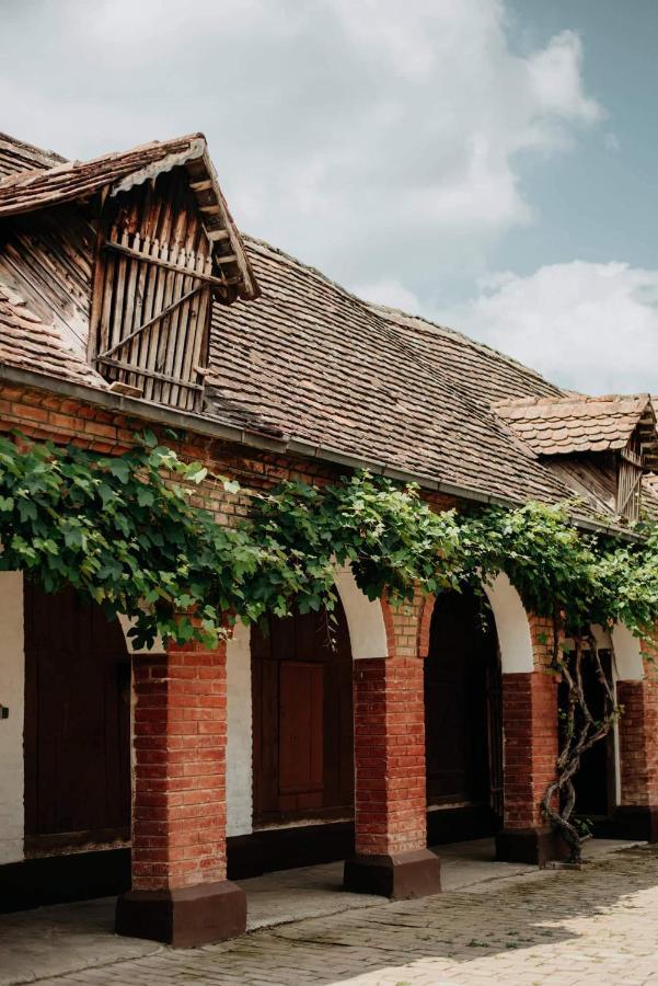 Villa Kuca Za Odmor "Sokacka Lady" Zupanja Exterior foto